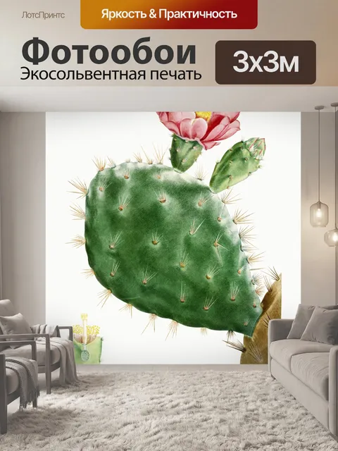 Фотообои Кактус cacti art vintage