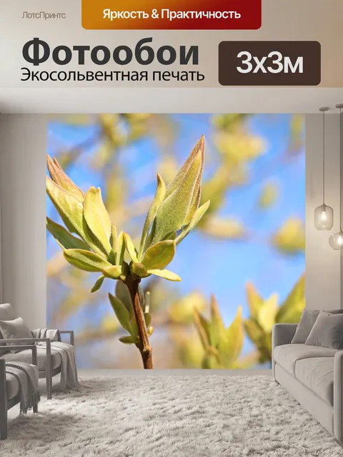 Фотообои Весна