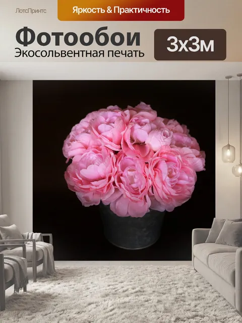 Фотообои Розовые пионы на черном
