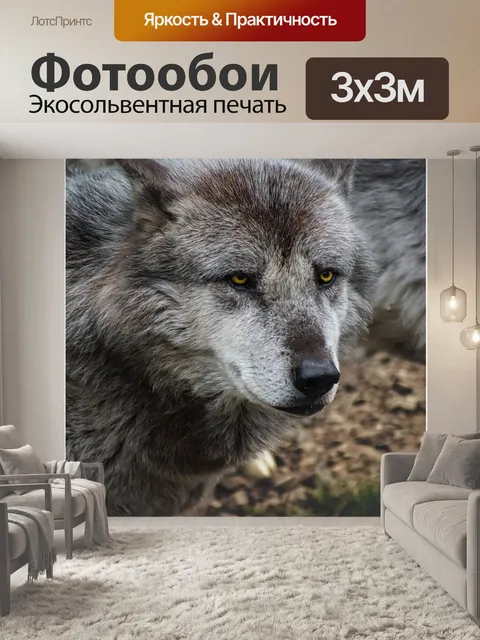 Фотообои Волк