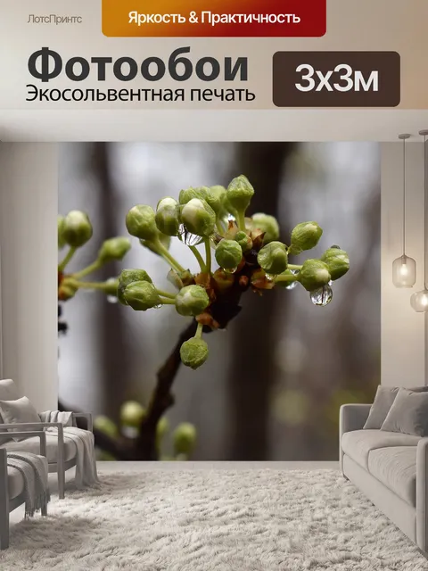 Фотообои Дождь мокрые почки сакуры