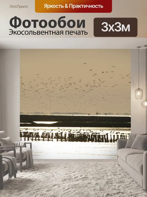 Фотообои Стая птиц