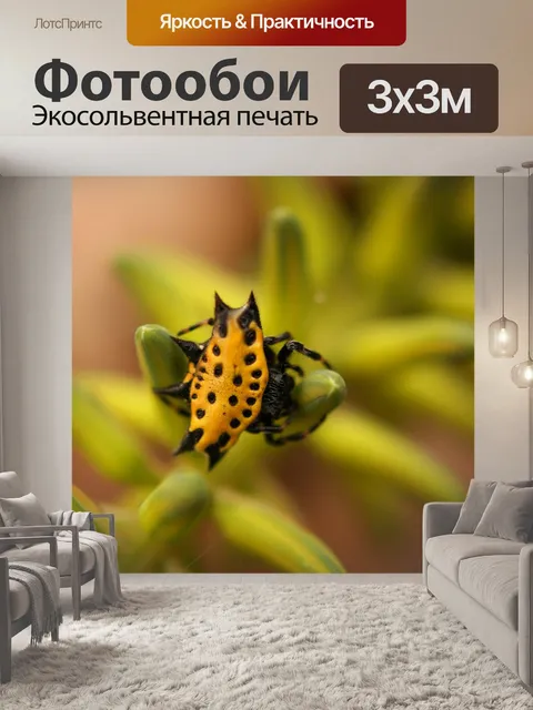 Фотообои Картинки