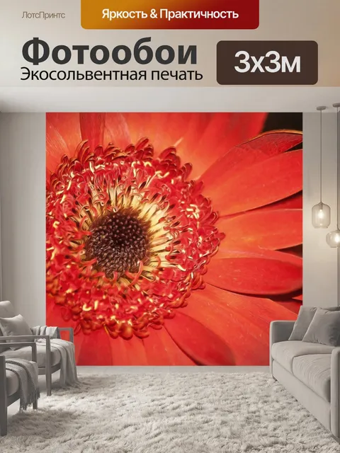 Фотообои Красные герберы