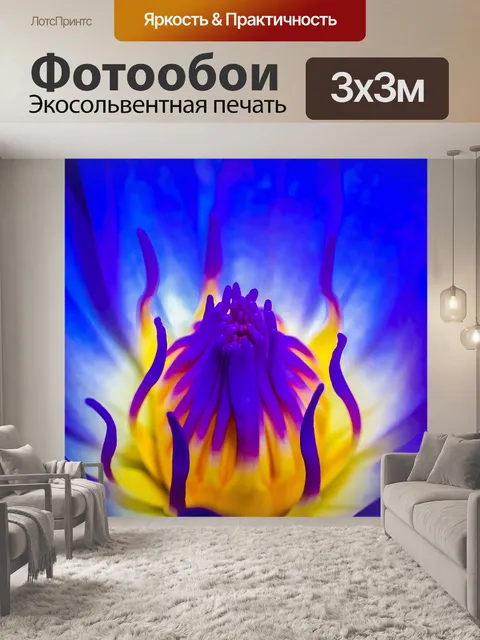 Фотообои цветок лотоса