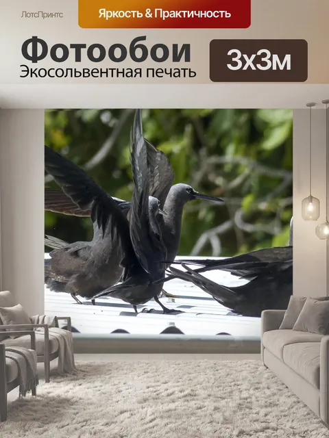 Фотообои Буревестник