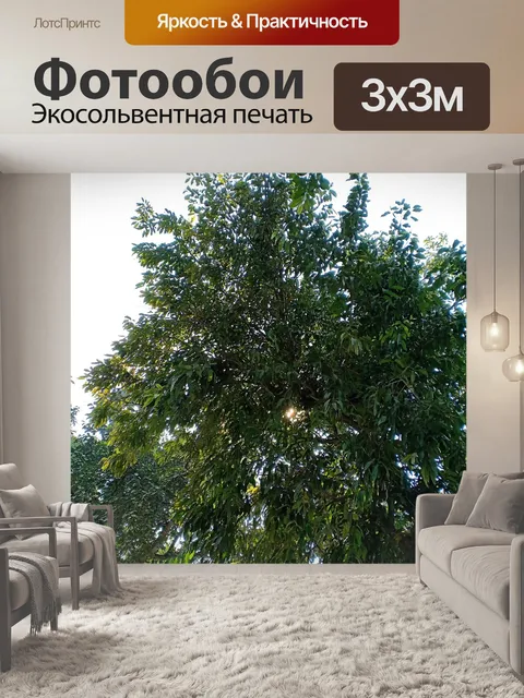 Фотообои Дерево