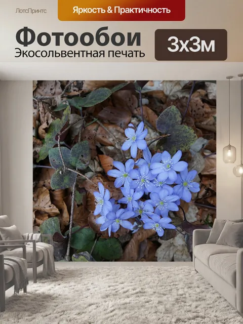 Фотообои Печеночник