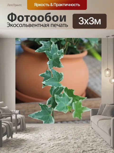 Фотообои Плющ