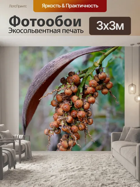 Фотообои Какать