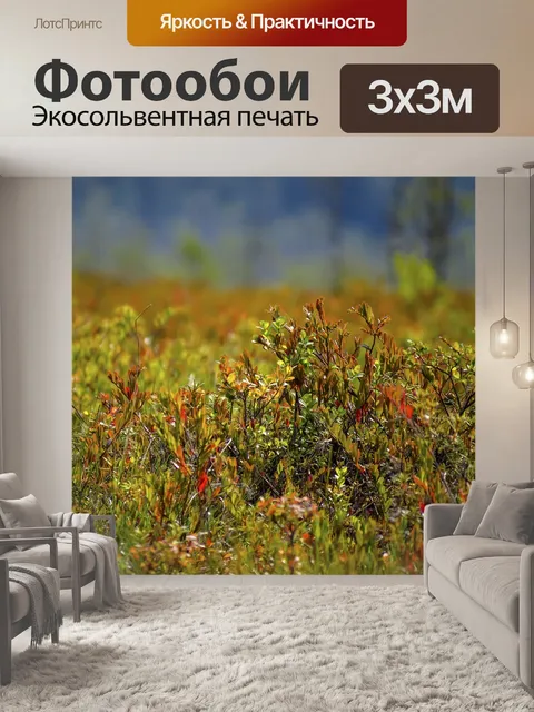 Фотообои Кустарник