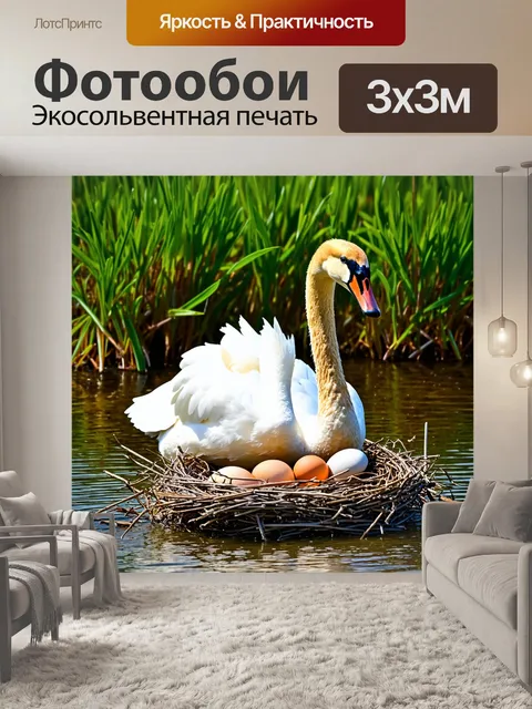 Фотообои лебедь, охраняющий гнездо с яйцами на берегу, с нежно-зелеными зарослями травы и спокойной атмосферой вокруг