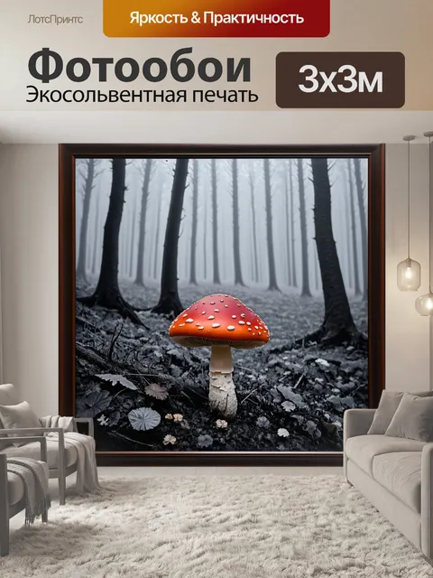 Фотообои грибной лес в раме тумана, где красный мухомор проявляется как яркий элемент среди серых тонов
