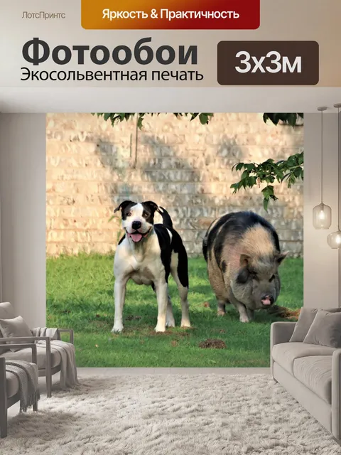Фотообои Пузатый Свинья и Собака