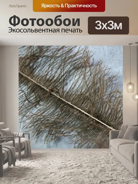 Фотообои пушистое серое перо на серой поверхности