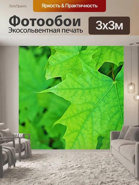 Фотообои Листья