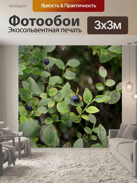 Фотообои Черника