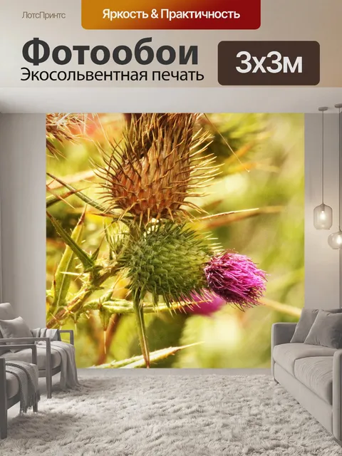 Фотообои розовый и сухой цветок чертополоха