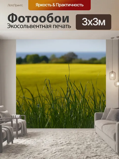 Фотообои Поле рапса