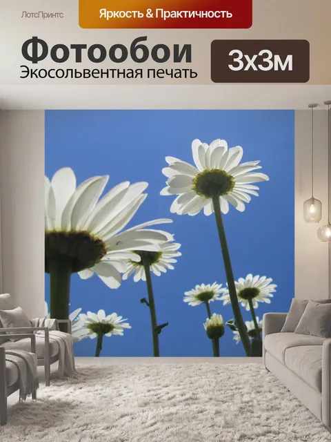Фотообои Ежедневные газеты