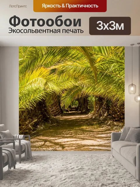 Фотообои Под пальмами