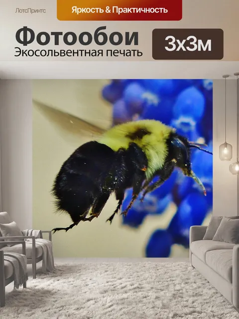 Фотообои Пчела в полете