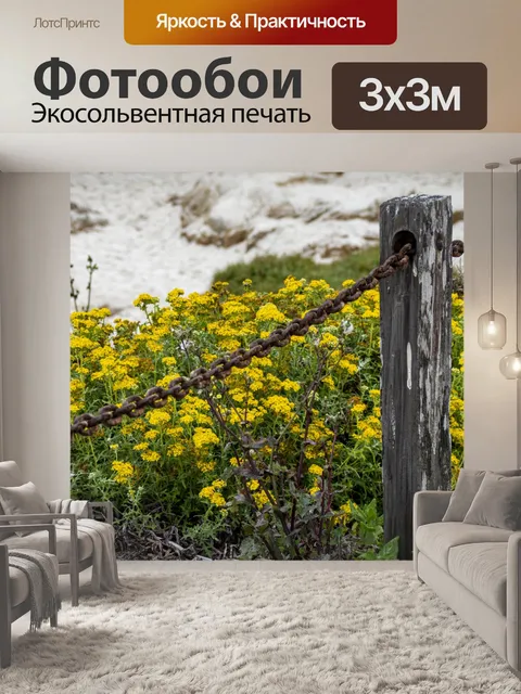 Фотообои Песчаная дюна полевые цветы