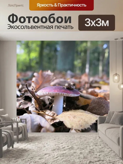 Фотообои Лесной зонтик