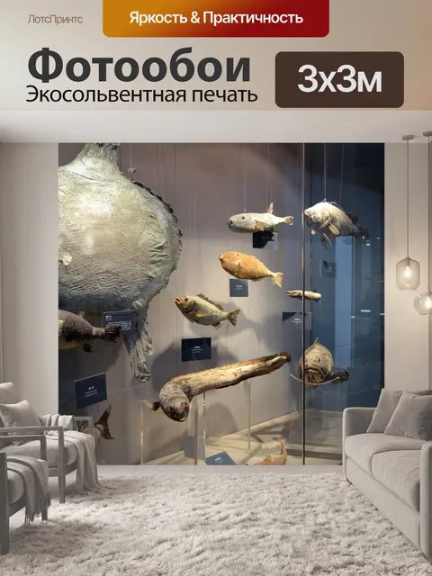Фотообои Музей дисплей