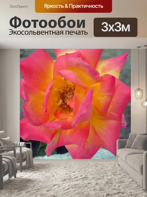 Фотообои Роза