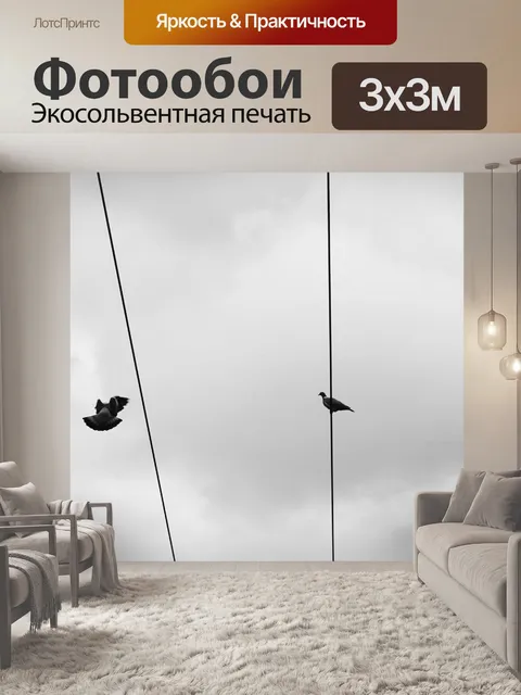 Фотообои Голуби на проводах