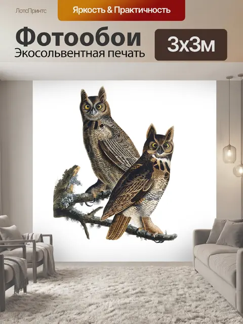 Фотообои Сова Винтаж клипарт наклейки