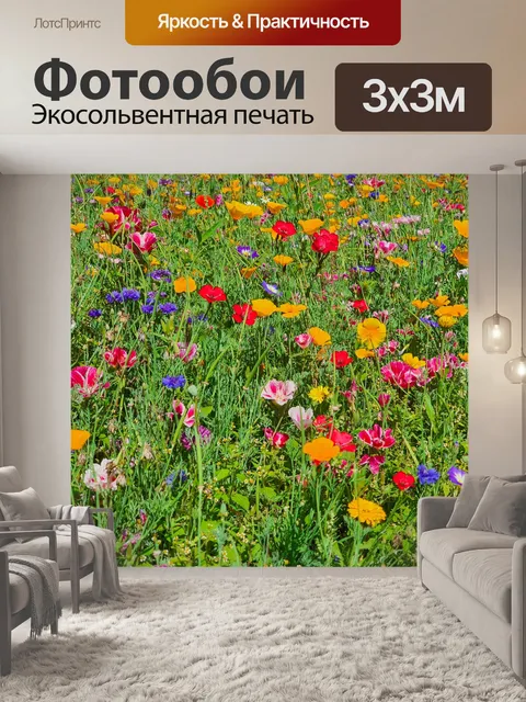 Фотообои Красочные луговые цветы