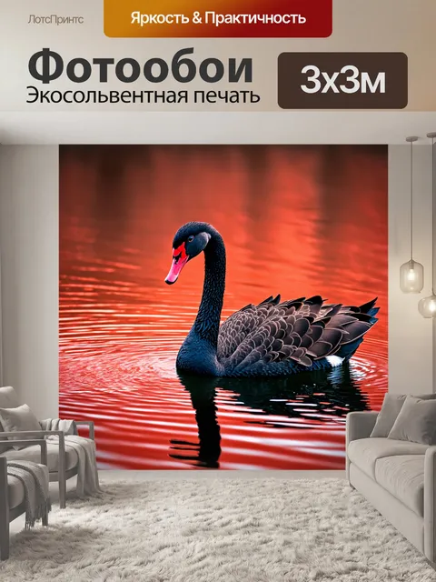Фотообои черный лебедь на красном озере, создающий контраст между элегантностью и страстью