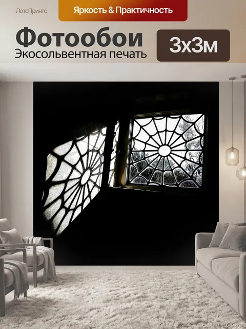 Фотообои Окна веб-паук