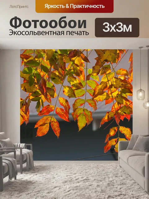 Фотообои Осенние цветные листья на дереве