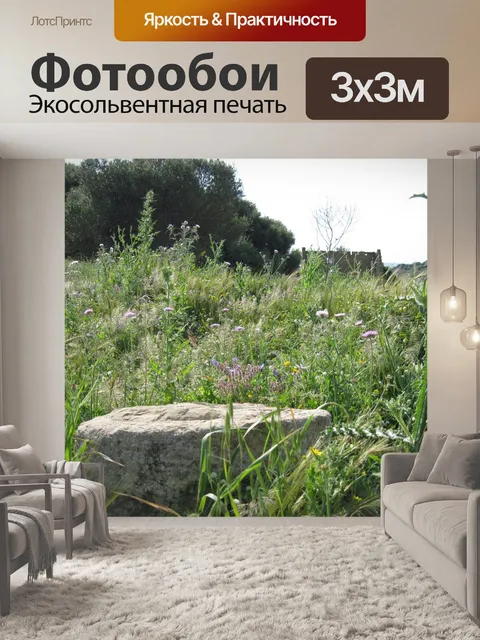 Фотообои Римляне