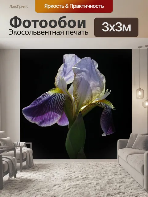 Фотообои Ирис