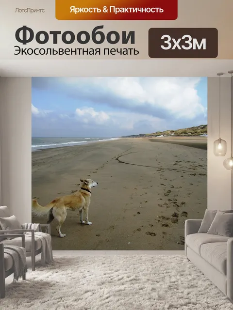 Фотообои Собака