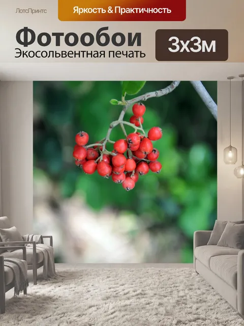 Фотообои Красные ягоды