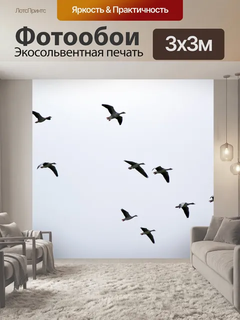 Фотообои Дикие гуси