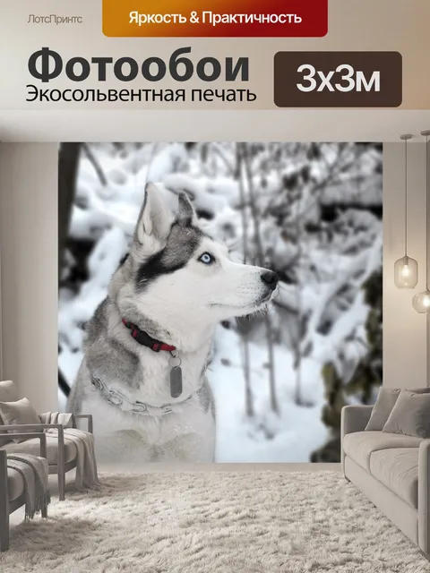 Фотообои Собака