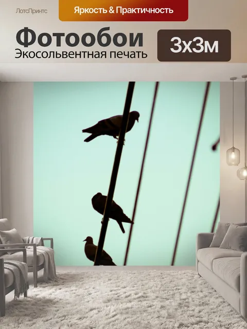 Фотообои Силуэт