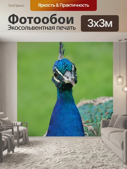 Фотообои Павлин