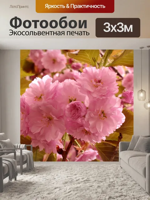 Фотообои Цветение вишни