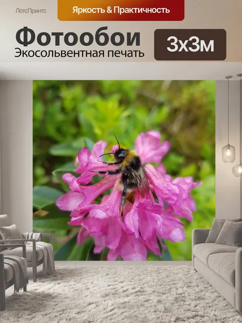 Фотообои Альпийская роза