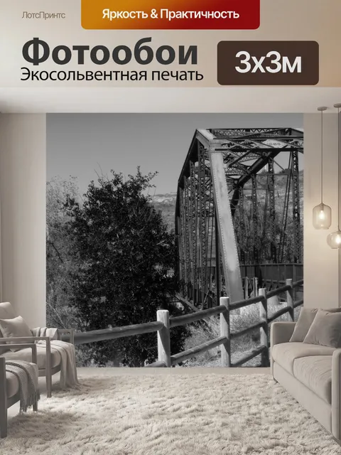 Фотообои Черный и белый мост Железный конь