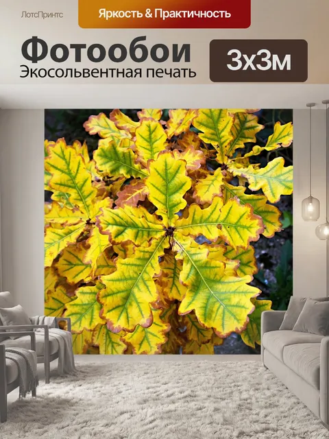 Фотообои Осенние дубовые листья