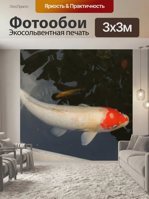 Фотообои кои пруд