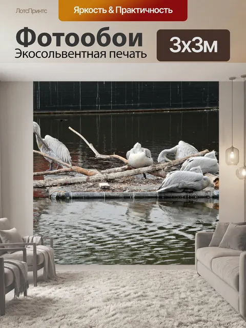 Фотообои Стая пеликанов
